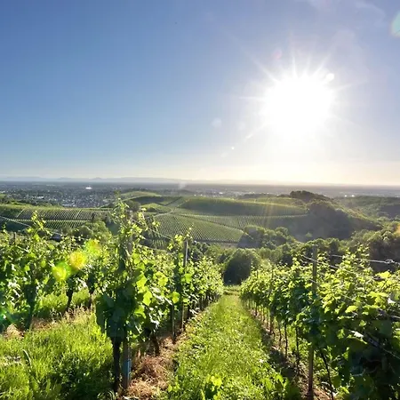 Ferienwohnungen Weingut Pieper Basler Offenburg Exterior foto