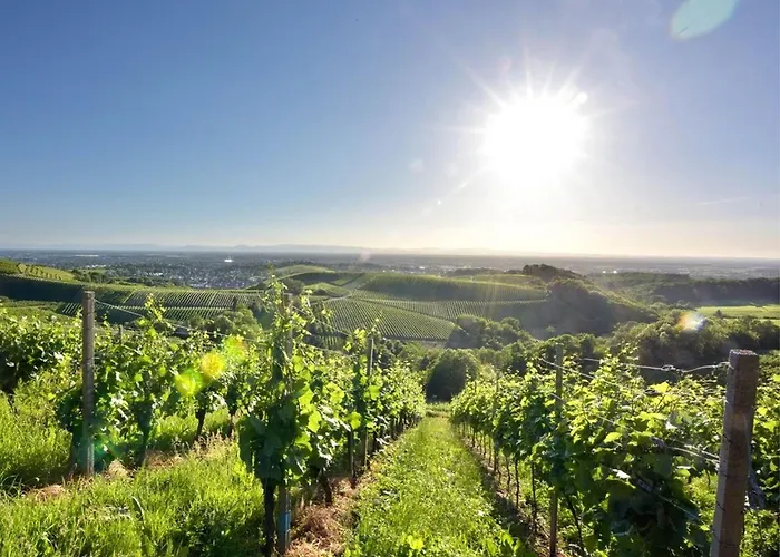Ferienwohnungen Weingut Pieper Basler